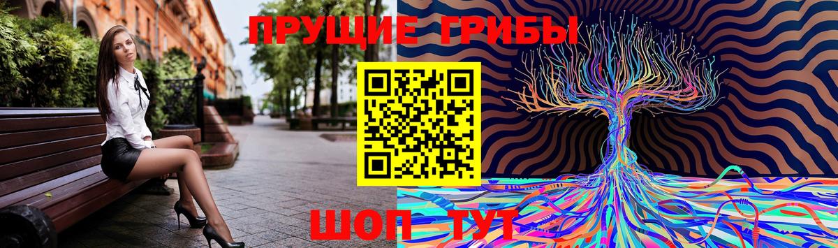 Галлюциногенные грибы Psilocybe Старая Русса